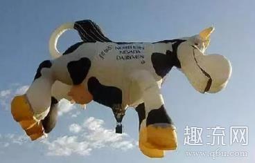 小母牛系列什么意思 小母牛系列歇后是骂人