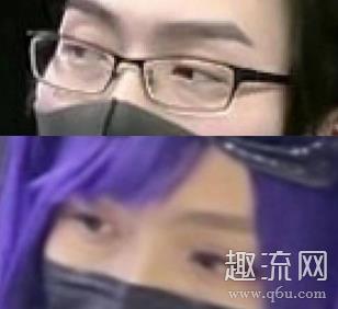 法老王海猫是什么梗 为什么海猫被称为法老王
