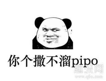 撒不溜pipo是什么意思 撒不溜pipo表情包