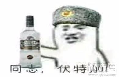 同志伏特加是什么意思 同志伏特加俄语怎么写