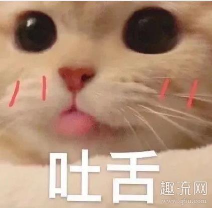 3加7啥意思是什么 3加7啥时候等于8