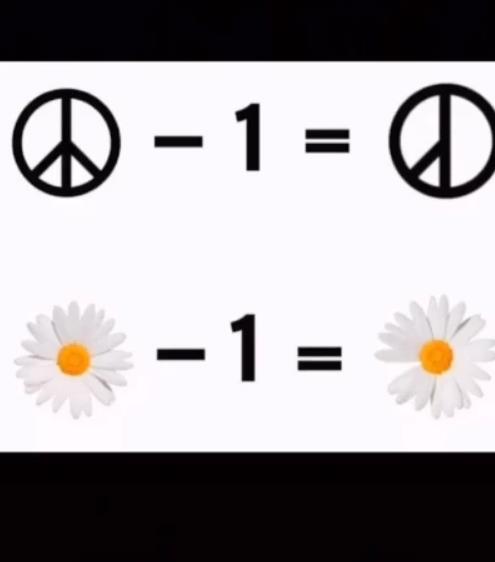 权志龙雏菊为什么少一瓣 权志龙雏菊少一瓣的含义