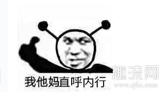 直呼内行什么意思 直呼内行表情包