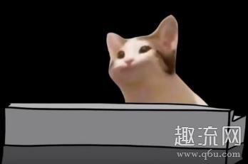 popcat什么梗 popcat表情包