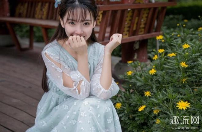 半藏森林是什么梗 半藏森林是什么风格