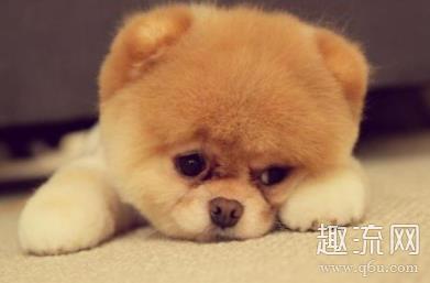 烧烤节是什么意思 烧烤节是什么节日