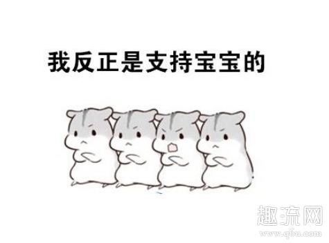 网络用语D是什么意思 网络用语D区又是什么意思