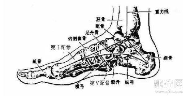 打篮球足弓酸痛怎么回事 穿篮球鞋足弓酸痛解决办法