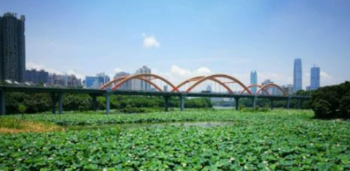 2022春节洪湖返乡码怎么填报(返乡码怎么弄)