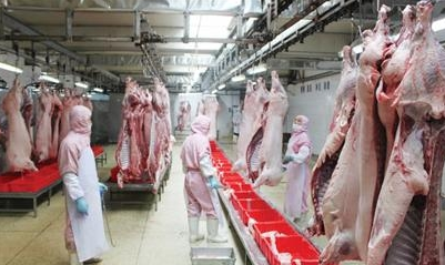 肉制品生产如何杀灭致病微生物？(肉及肉制品微生物污染的来源)