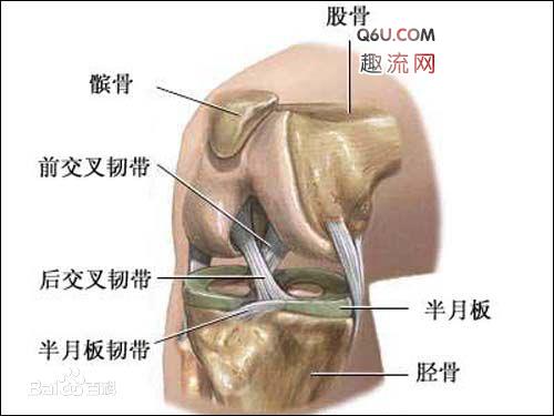 膝盖受伤可以穿什么鞋