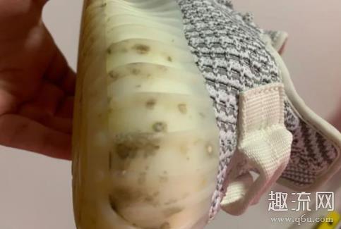 yeezy 350会发霉吗 yeezy 350发霉怎么办