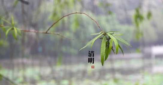 清明上坟有什么禁忌