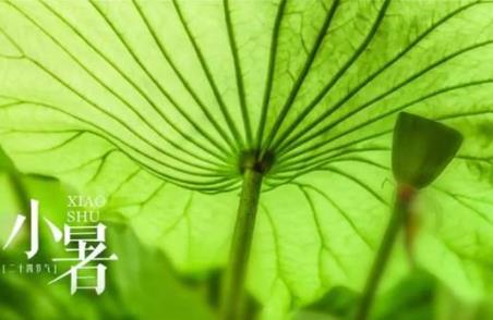 2022年小暑是几月几号(小暑几点几分几秒2022)