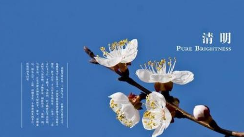 2021年清明节几号迁坟好(清明节迁坟注意事项)