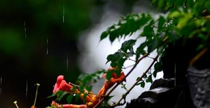 梅雨季节防潮小常识(梅雨季节是什么时间在什么节气之间)