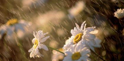 湖北梅雨什么时候结束2021(湖北什么时候出梅今年2021)