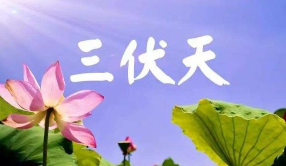 三伏天太热没空调怎么办(2021年三伏天最热多少度)