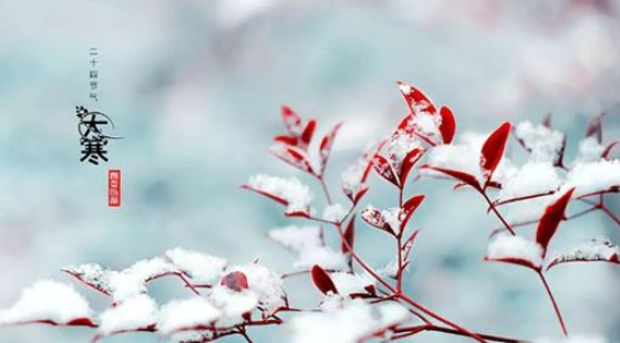 大寒节气有什么讲究(为什么2021年没有大寒)