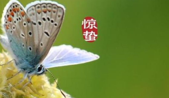 惊蛰后还冷吗(2021年惊蛰是出九吗)