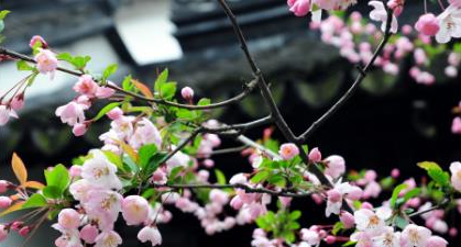2022年北京春分一般多少温度（北京春分天气怎么样）