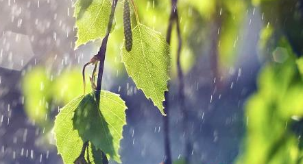 2021年几月份雨水多
