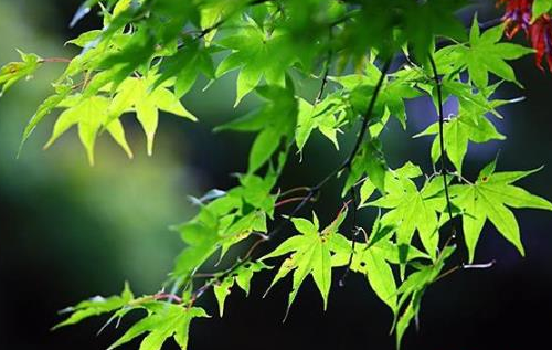 2021年9月份穿什么衣服好(2021年9月份温度预测)