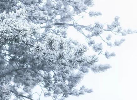 东北冬天天天下雪吗2022（今年东北冬天雪多不多）