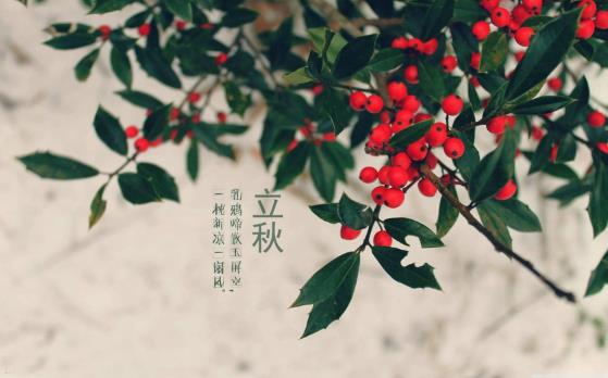 2021年立秋后有秋老虎吗(秋老虎要注意什么)