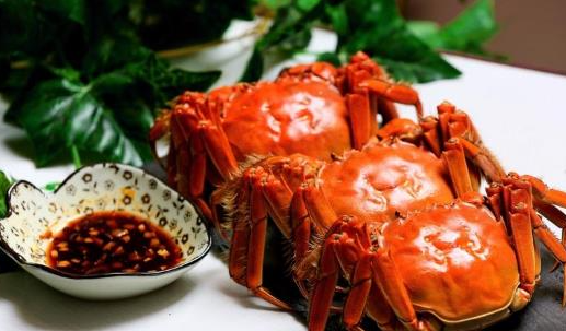蒸螃蟹用电饭煲哪个功能（吃螃蟹的注意事项）
