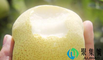 雪梨的食用禁忌(梨切了怎么放不会变黑)