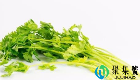 水芹菜焯水多长时间(芹菜焯水会破坏营养吗)