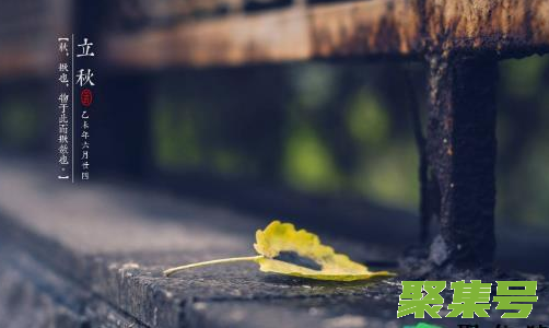 立秋下雨有什么影响(立秋有雨好还是无雨好)