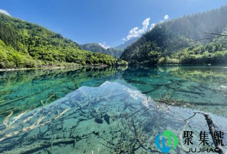 九寨沟免门票是全国吗2021(九寨沟旅游危险吗)