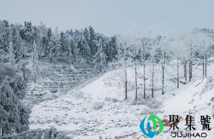 2021冬至会不会下雪(冬至下雪有什么讲究吗)