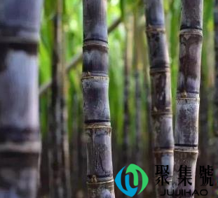怎样挑选好甘蔗(甘蔗里面有红丝怎么回事)