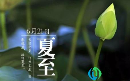 每年的夏至是固定的吗2022（夏至节气饮食养生要点）