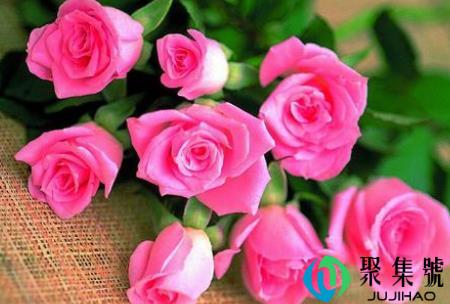 2021年母亲节送妈妈什么花最好（母亲节送花怎么写卡片）