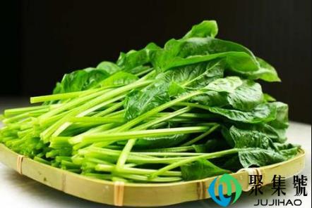 菠菜啥时候种产量高（菠菜怎么种）