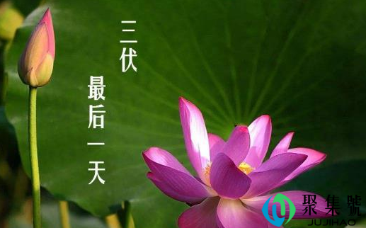 2021出伏后会凉爽吗（出伏后要注意什么）