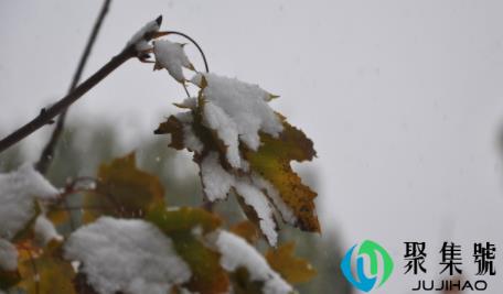小雪几天后大雪2021