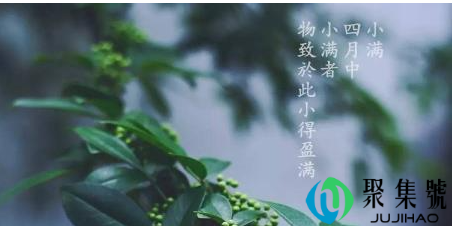 小满节气几点几分2022