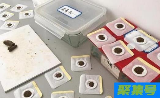 三伏贴每次都贴一个地方吗