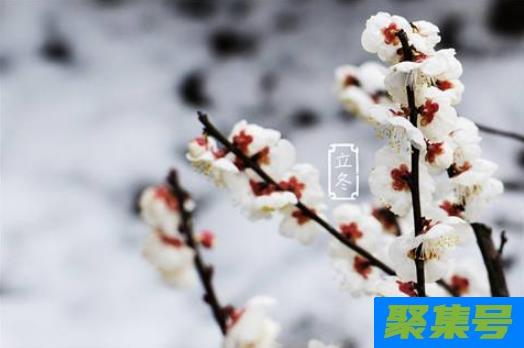 立冬暖和预示着什么