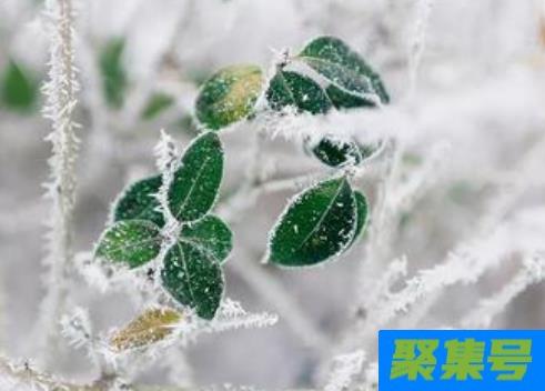 2021年哪天数九第一天