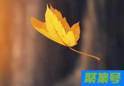 2021年立秋能在娘家过吗