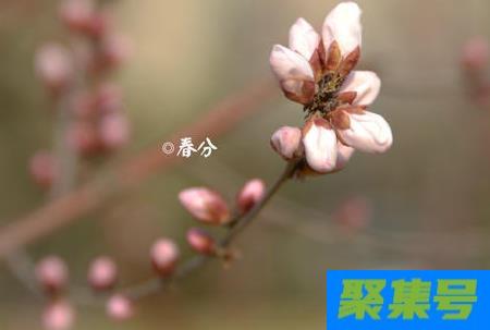 2021年春分是黄道吉日吗