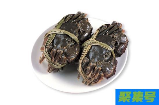 螃蟹解冻有什么方法