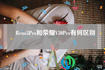 Reno3Pro和荣耀V30Pro有何区别（荣耀v30pro和opporeno3pro哪个好）