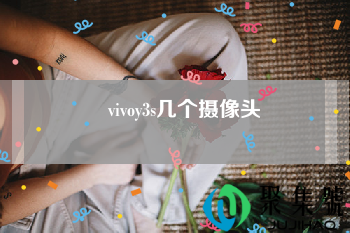 vivoy3s几个摄像头